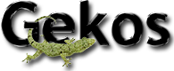 Logo GEKOS - Software per il controllo del sistema di gestione